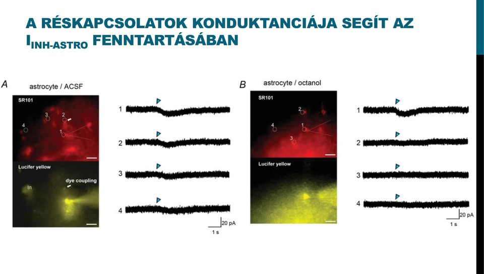 SEGÍT AZ I