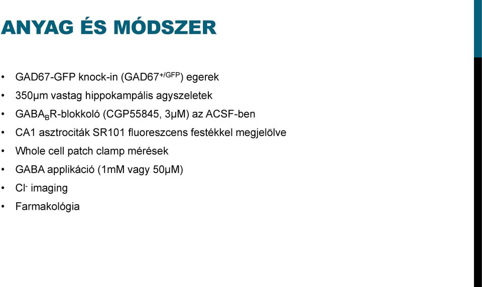 CA1 asztrociták SR101 fluoreszcens festékkel megjelölve Whole cell