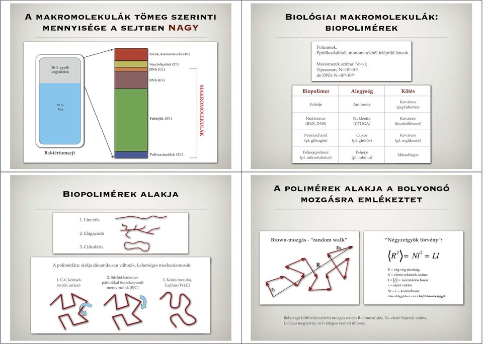 Poliszacharid (pl. glikogén) Aminosav Nukleotid (CTUGA) Cukor (pl. glukóz) Kovalens (peptidkötés) Kovalens (foszfodiészter) Kovalens (pl.