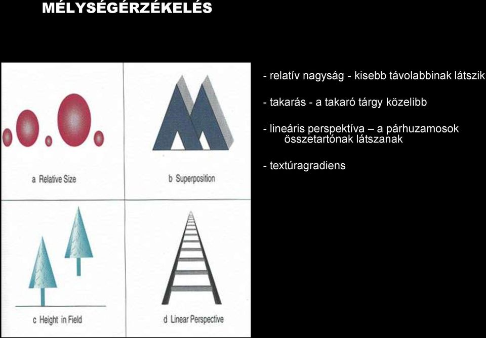 tárgy közelibb - lineáris perspektíva a