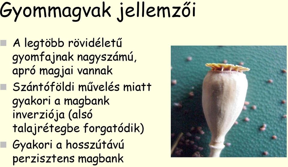 miatt gyakori a magbank inverziója (alsó