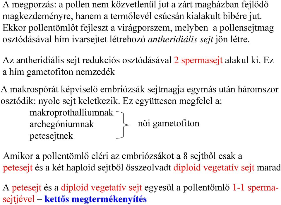 Az antheridiális sejt redukciós osztódásával 2 spermasejt alakul ki. Ez a hím gametofiton nemzedék A makrospórát képviselő embriózsák sejtmagja egymás után háromszor osztódik: nyolc sejt keletkezik.