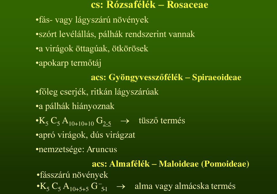 lágyszárúak a pálhák hiányoznak K 5 C 5 A 10+10+10 G 2-5 tüsző termés apró virágok, dús virágzat