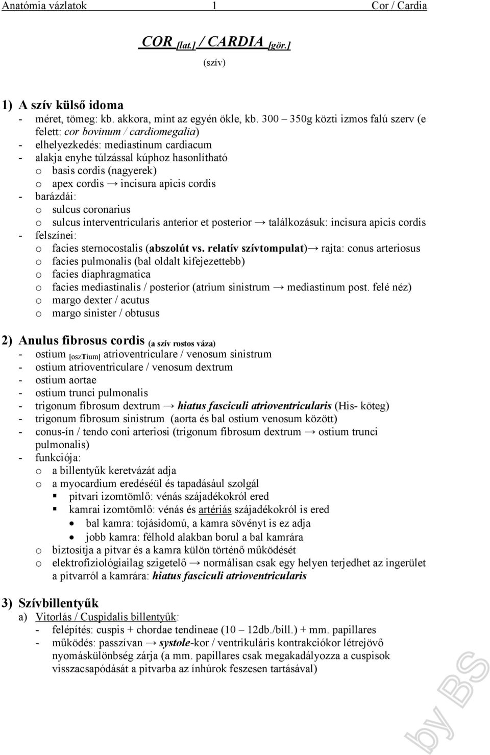 incisura apicis cordis - barázdái: o sulcus coronarius o sulcus interventricularis anterior et posterior találkozásuk: incisura apicis cordis - felszínei: o facies sternocostalis (abszolút vs.