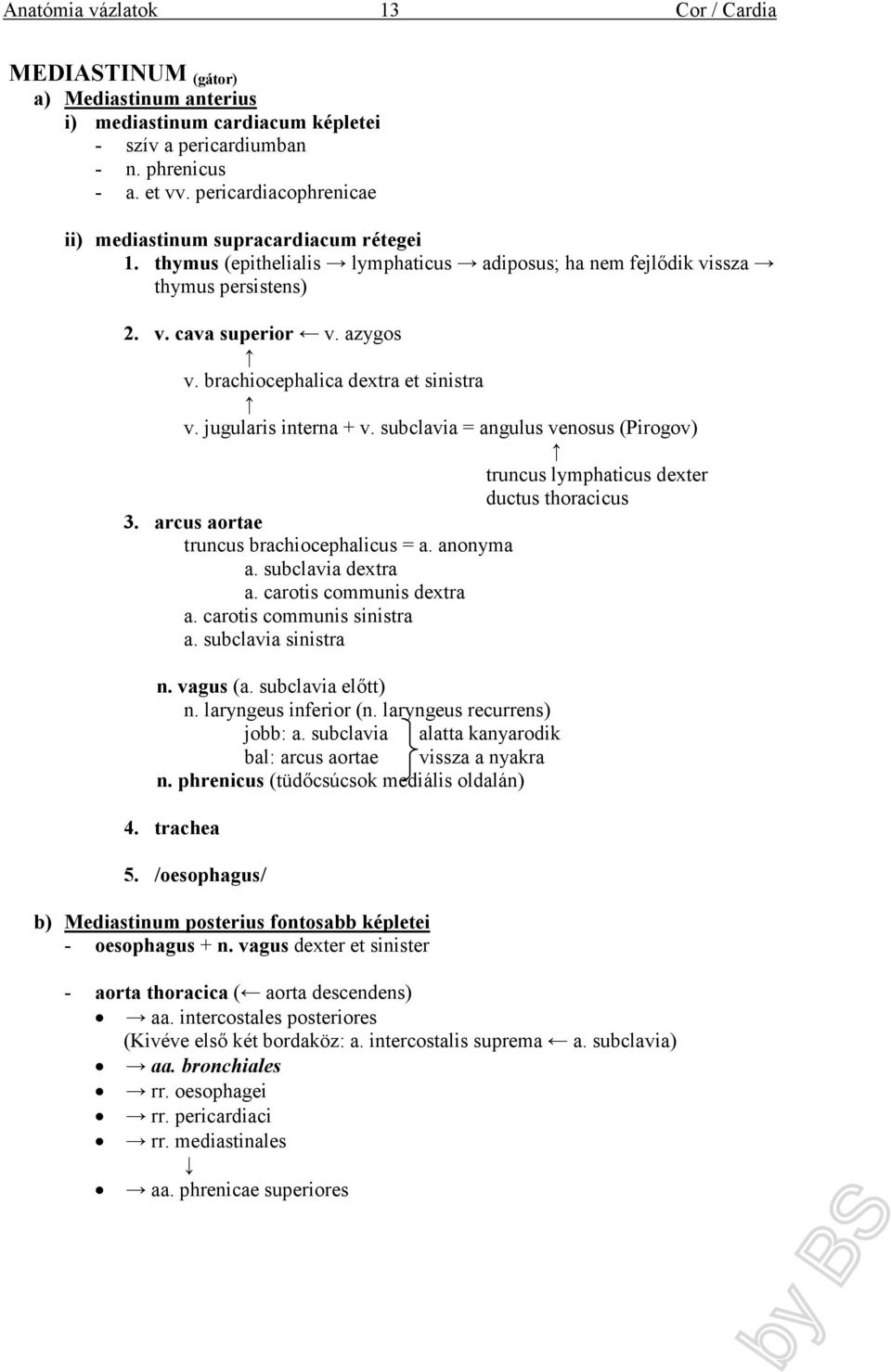subclavia = angulus venosus (Pirogov) truncus lymphaticus dexter ductus thoracicus 3. arcus aortae truncus brachiocephalicus = a. anonyma a. subclavia dextra a. carotis communis dextra a.
