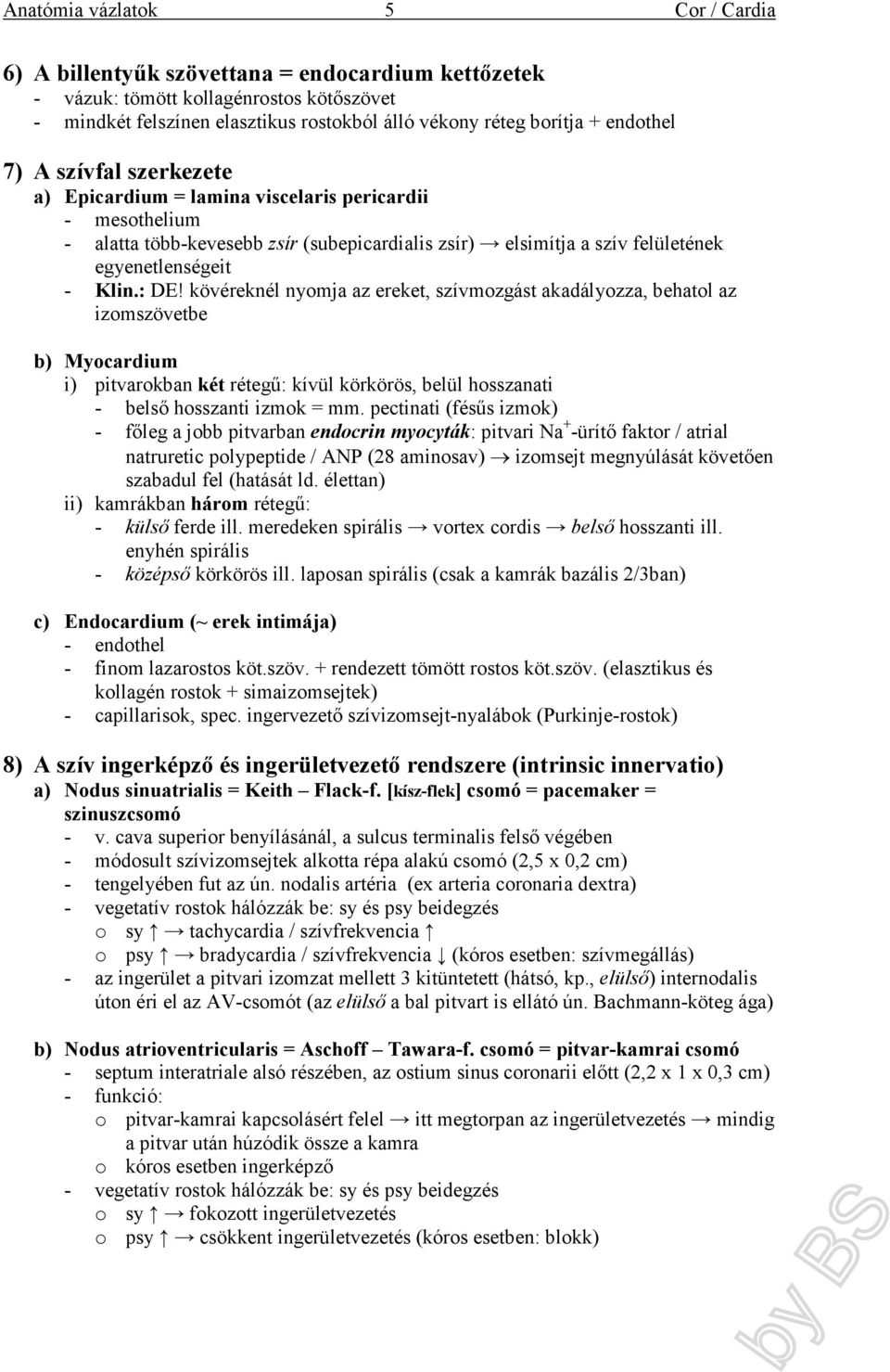 kövéreknél nyomja az ereket, szívmozgást akadályozza, behatol az izomszövetbe b) Myocardium i) pitvarokban két rétegű: kívül körkörös, belül hosszanati - belső hosszanti izmok = mm.