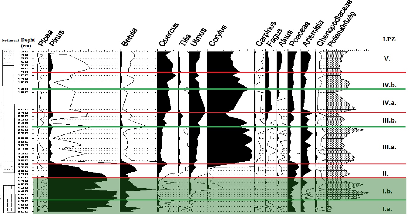 Vizsgálati eredmények 70% Pinus 20% Betula Pinus sylvestris erdei fenyő, < 25%:, lokális