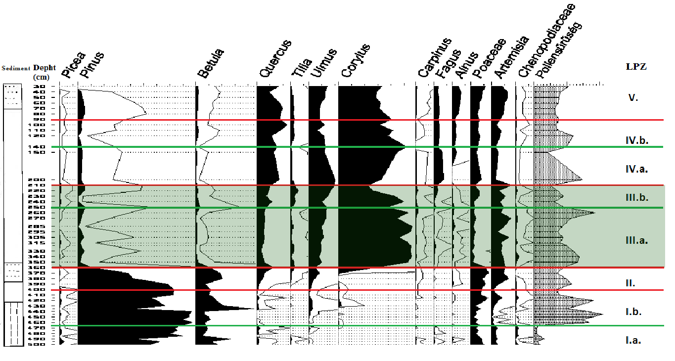 Vizsgálati eredmények 55% Corylus 15% Pinus 10% Quercus Pinus sylvestris erdei fenyő, < 25%:, regionális