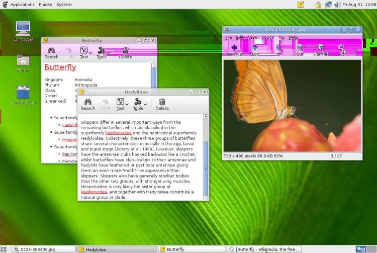 Operációs rendszerek csoportosítása, példák... Gnome 2.20 Dr.