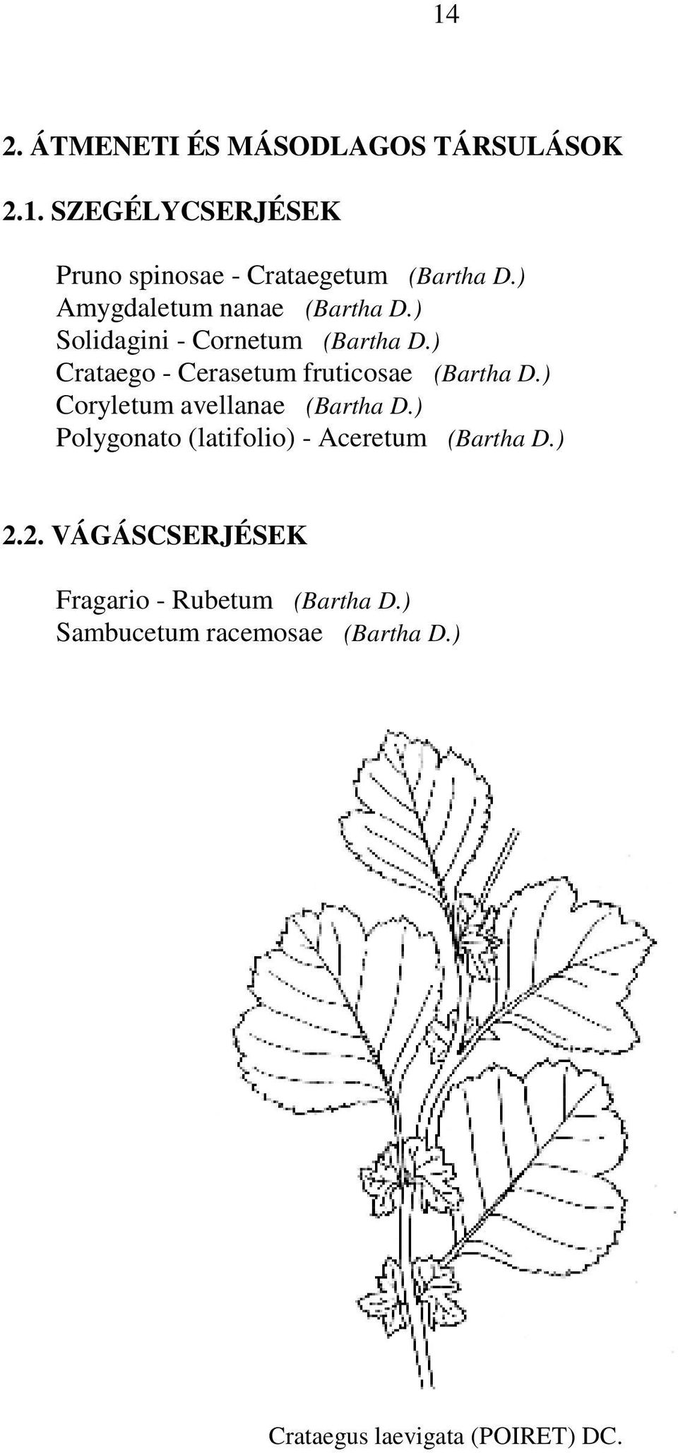 ) Crataego - Cerasetum fruticosae (Bartha D.) Coryletum avellanae (Bartha D.
