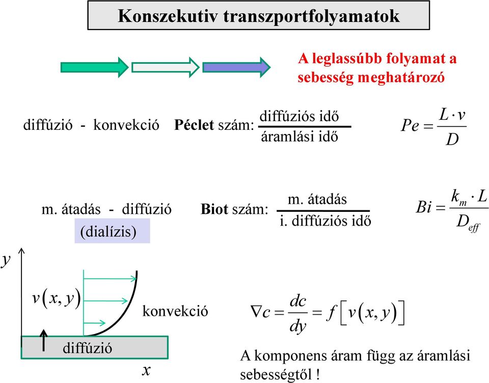 átadás - diffúzió Biot szám: (dialízis) v( x, y) diffúzió x m. átadás i.