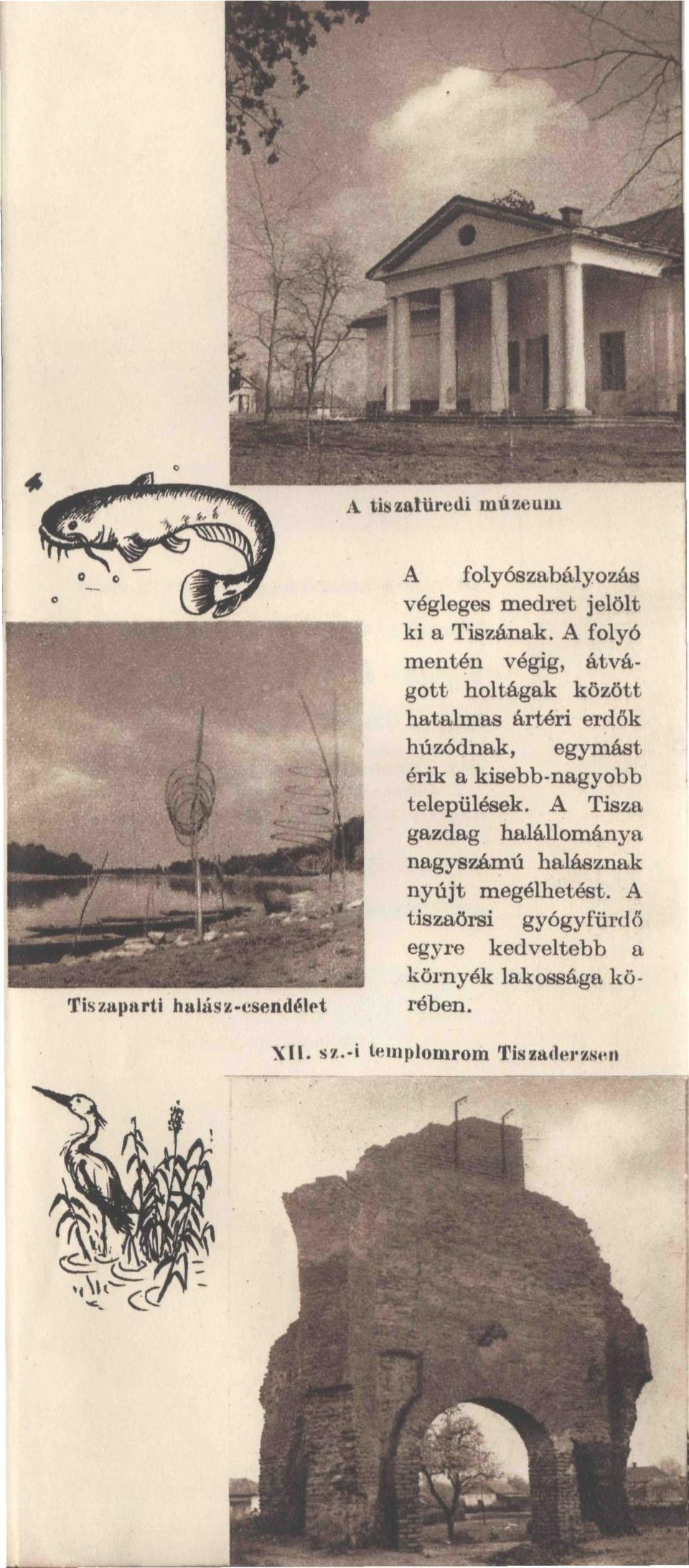 A folyó mentén végig, átvágott holtágak között hatalmas ártéri erdők húzódnak, egymást érik a