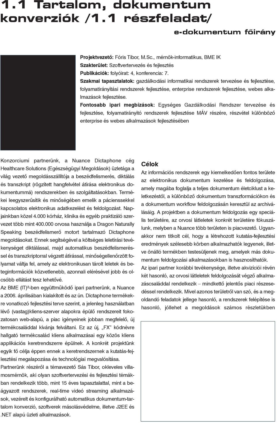 Szakmai tapasztalatok: gazdálkodási informatikai rendszerek tervezése és fejlesztése, folyamatirányítási rendszerek fejlesztése, enterprise rendszerek fejlesztése, webes alkalmazások fejlesztése.