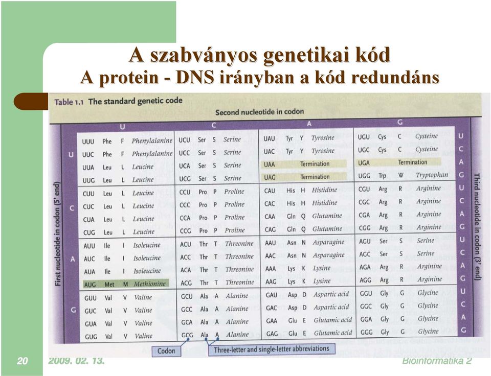 irányban a kódk