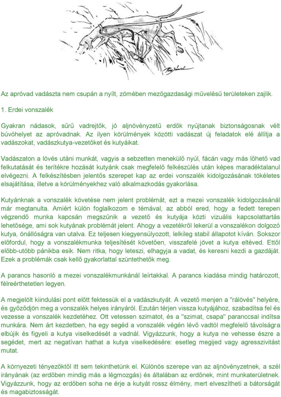 Az ilyen körülmények közötti vadászat új feladatok elé állítja a vadászokat, vadászkutya-vezetőket és kutyáikat.