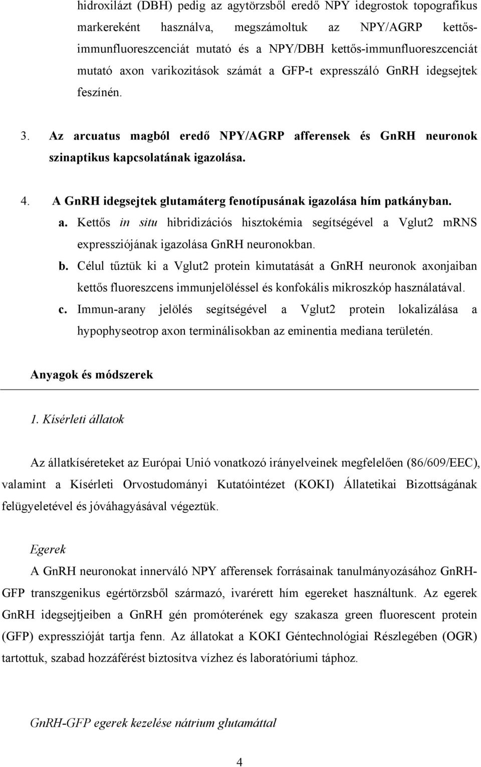 A GnRH idegsejtek glutamáterg fenotípusának igazolása hím patkányban. a. Kettős in situ hibridizációs hisztokémia segítségével a Vglut2 mrns expressziójának igazolása GnRH neuronokban. b.