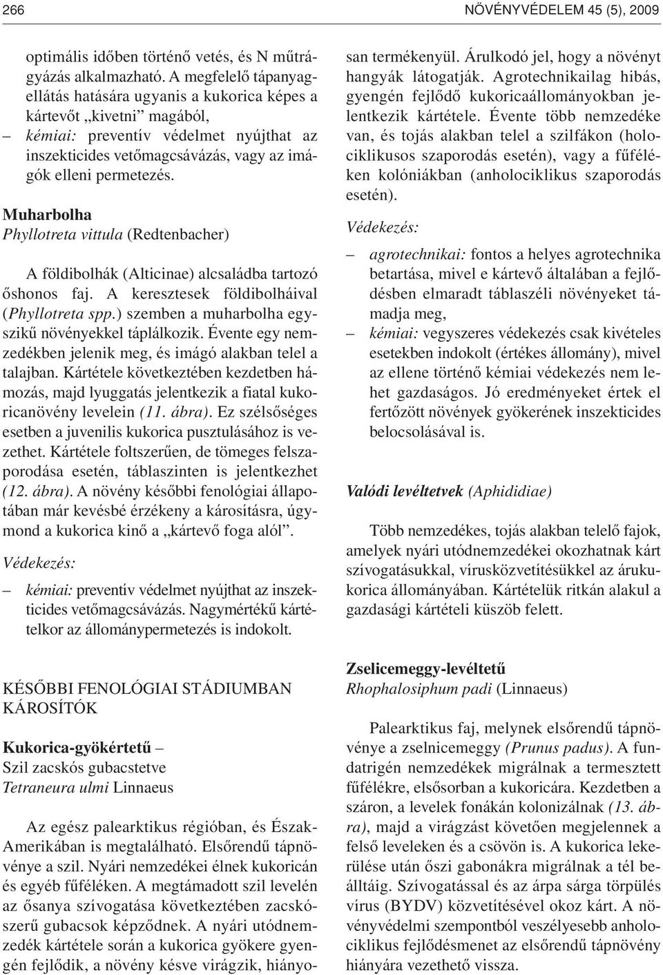 Muharbolha Phyllotreta vittula (Redtenbacher) A földibolhák (Alticinae) alcsaládba tartozó ôshonos faj. A keresztesek földibolháival (Phyllotreta spp.