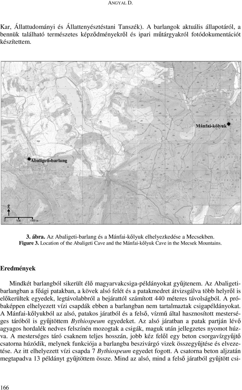 Eredmények Mindkét barlangból sikerült élő magyarvakcsiga-példányokat gyűjtenem.