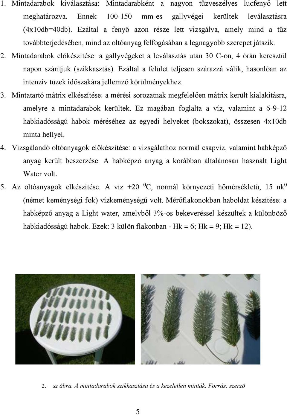 Mitadarabok előkészítése: a gallyvégeket a leválasztás utá 30 C-o, 4 órá keresztül apo szárítjuk (szikkasztás).