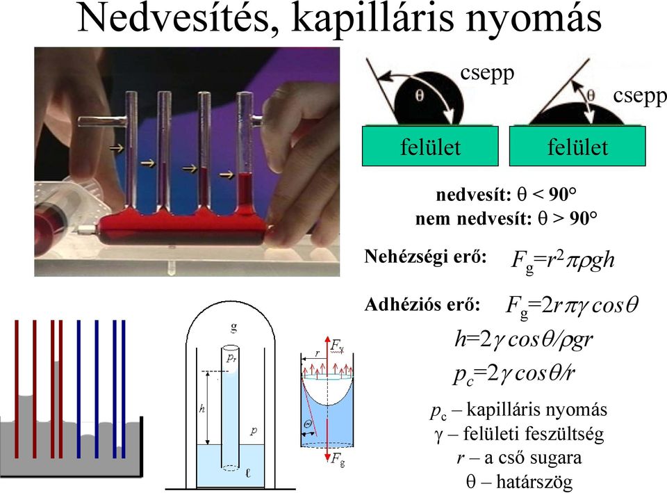 πρgh Adhéziós erő: F g =2rπγ cosθ h=2γ cosθ/ρgr p c =2γ cosθ/r