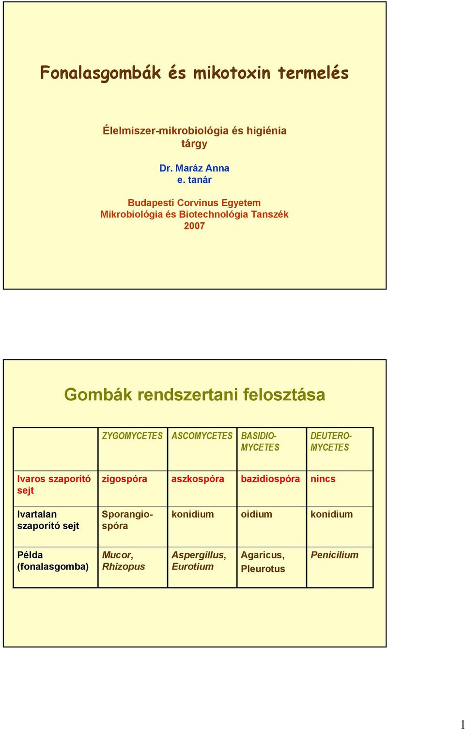 ASCOMYCETES BASIDIO- MYCETES DEUTERO- MYCETES Ivaros szaporító sejt zigospóra aszkospóra bazidiospóra nincs Ivartalan