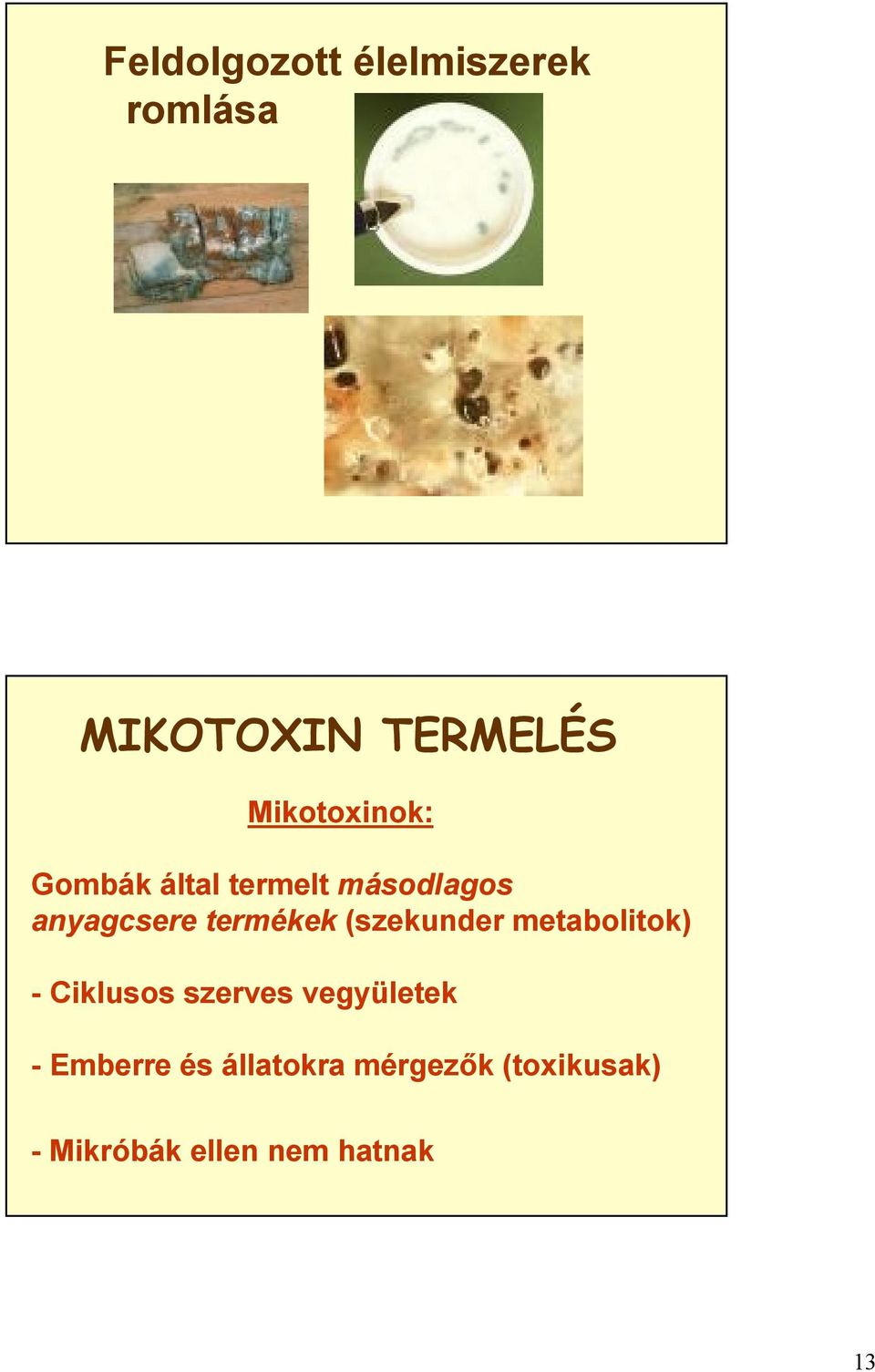 termékek (szekunder metabolitok) -Ciklusos szerves