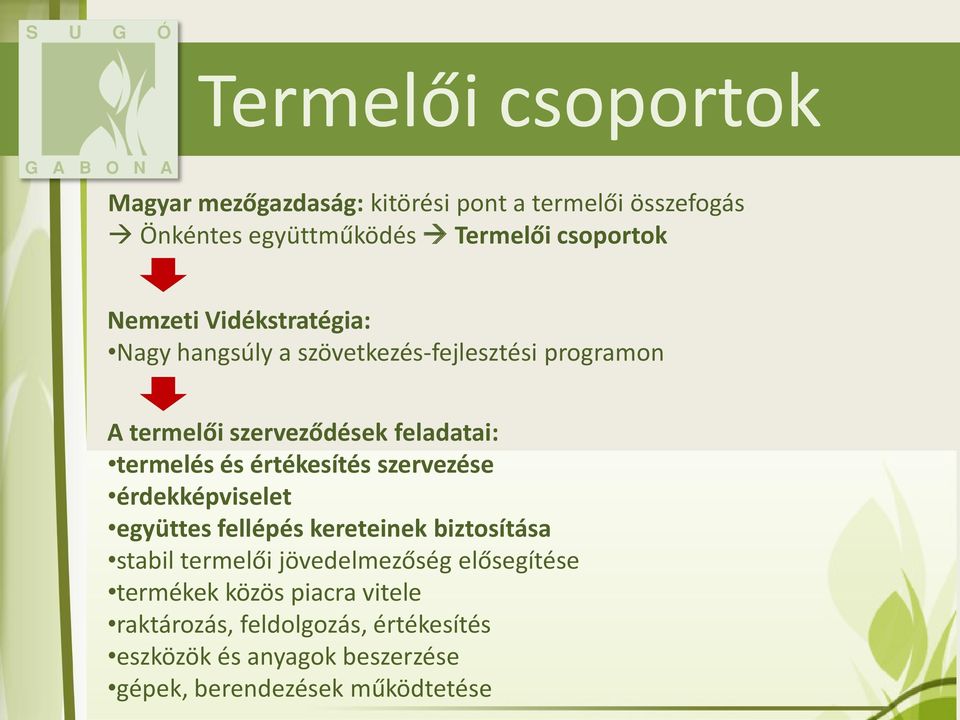 értékesítés szervezése érdekképviselet együttes fellépés kereteinek biztosítása stabil termelői jövedelmezőség elősegítése