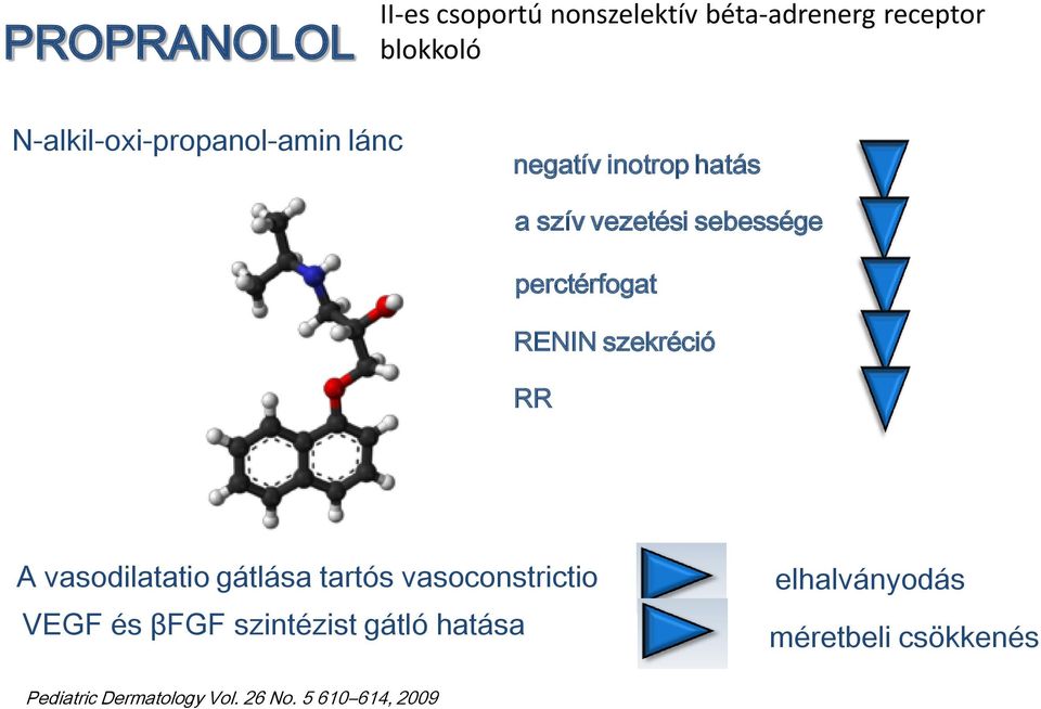 perctérfogat RENIN szekréció RR A vasodilatatio gátlása tartós vasoconstrictio VEGF és
