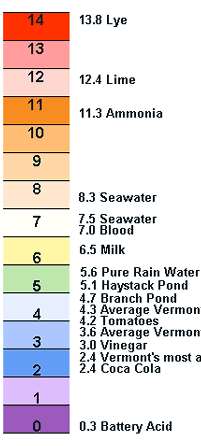 A talaj kémhatása erősen lúgos (9,5<) lúgos (8,5-9,5) gyengén lúgos (7,2-8,5)