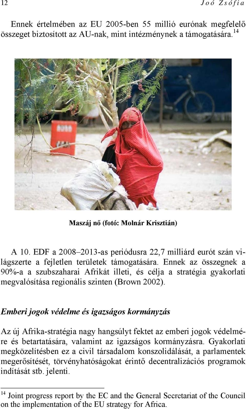 Ennek az összegnek a 90%-a a szubszaharai Afrikát illeti, és célja a stratégia gyakorlati megvalósítása regionális szinten (Brown 2002).
