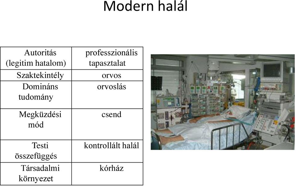 Testi összefüggés Társadalmi környezet