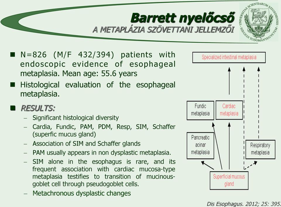 n RESULTS: Significant histological diversity Cardia, Fundic, PAM, PDM, Resp, SIM, Schaffer (superfic mucus gland) Association of SIM and Schaffer glands PAM