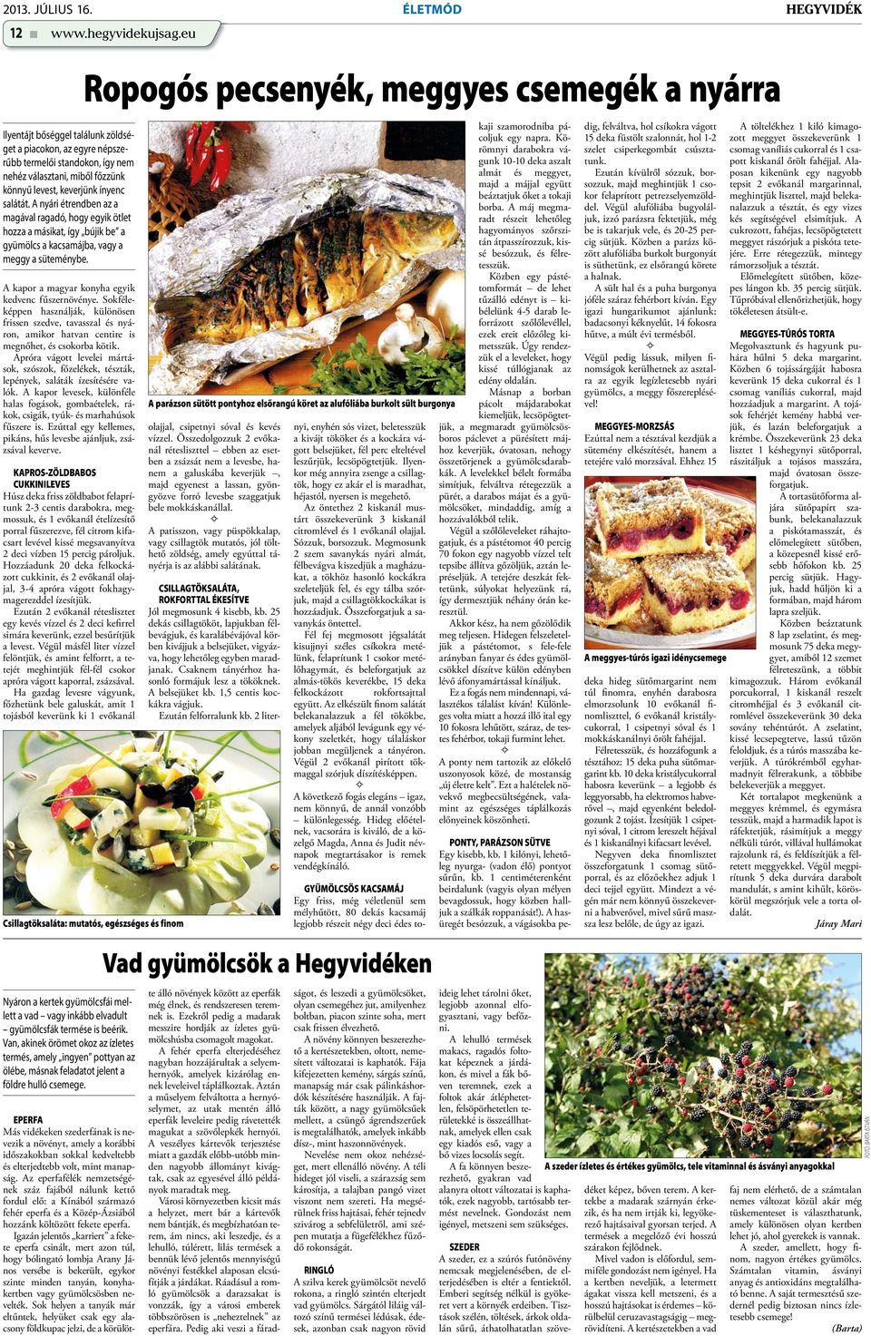 Társkereső oldalak alkalmazásokat a szederhez