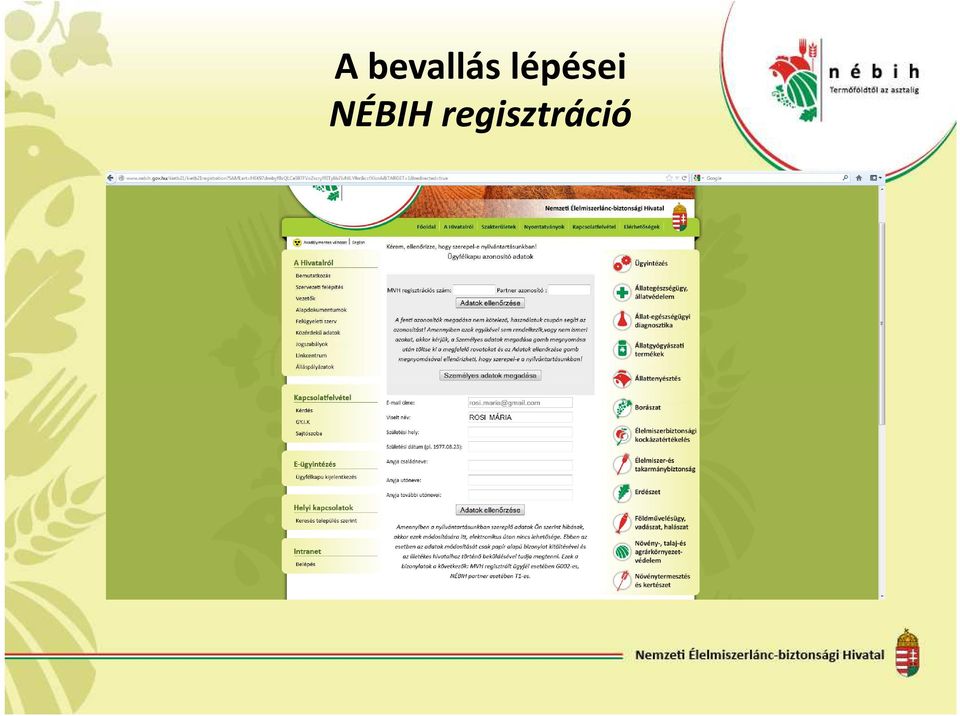 lépései