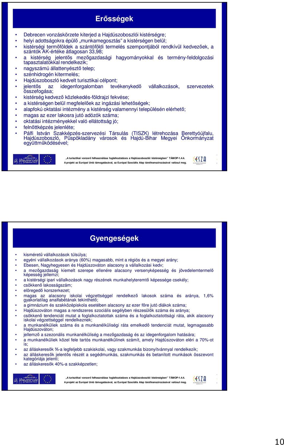 szénhidrogén kitermelés; Hajdúszoboszló kedvelt turisztikai célpont; jelentős az idegenforgalomban tevékenykedő vállalkozások, szervezetek összefogása; kistérség kedvező közlekedés-földrajzi fekvése;