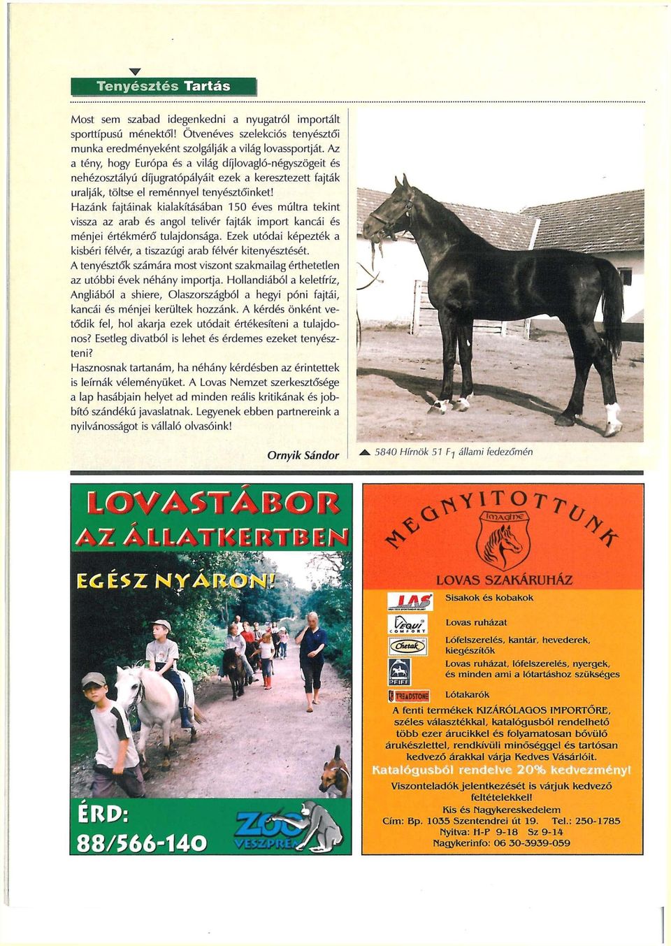 Hazánk fajtáinak kialakításában 150 éves múltra tekint vissza az arab és angol telivér fajták import kancái és ménjei értékmérő tulajdonsága.