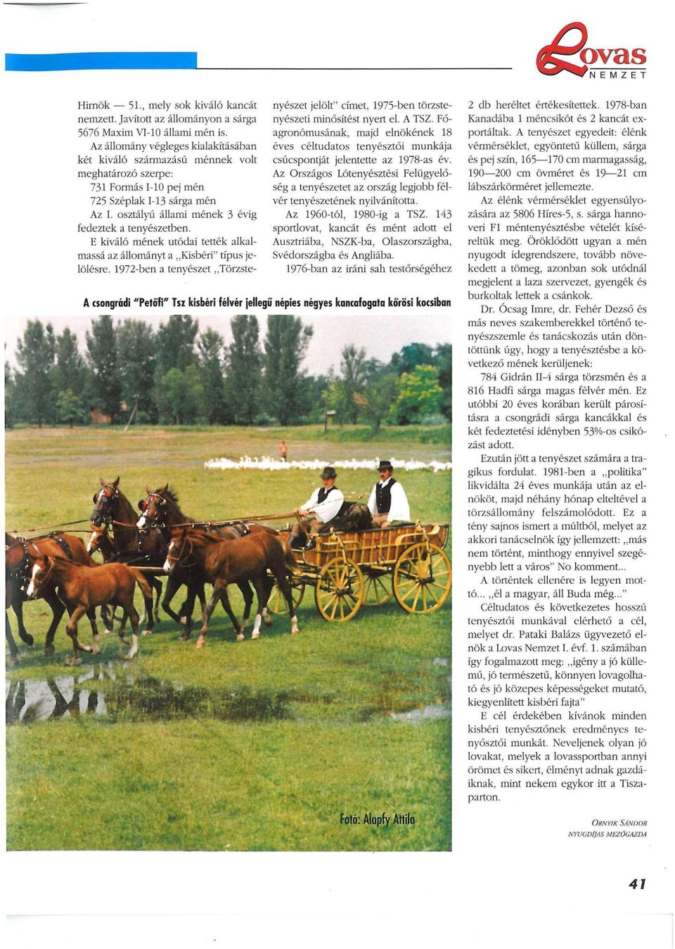 E kiváló mének utódai tették alkalmassá az állományt a Kisbéri" típus jelölésre. 1972-ben a tenyészet Törzstenyészet jelölt" címet, 1975-ben törzstenyészeti minősítést nyert el. A TSZ.