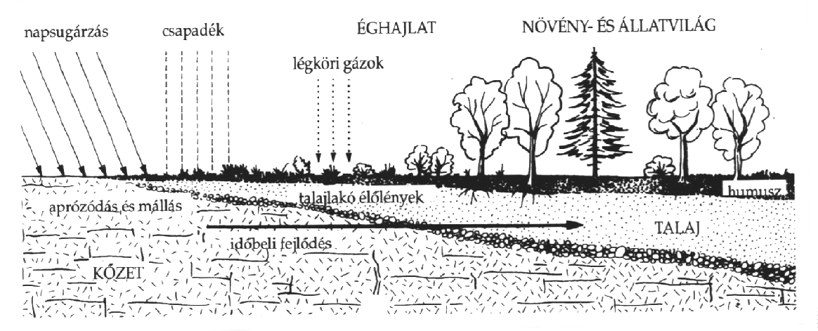 SAJÓIVÁNKA község településrendezési terve vizsgálati munkarész 77 d.)földvédelem, ásványvagyon védelem TALAJVISZONYOK A talaj a földkéreg legkülső, laza, termékeny rétege.