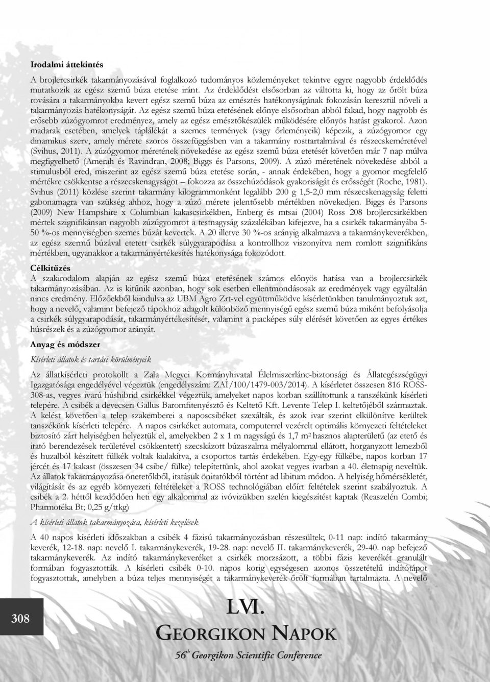Az egész szemű búza etetésének előnye elsősorban abból fakad, hogy nagyobb és erősebb zúzógyomrot eredményez, amely az egész emésztőkészülék működésére előnyös hatást gyakorol.