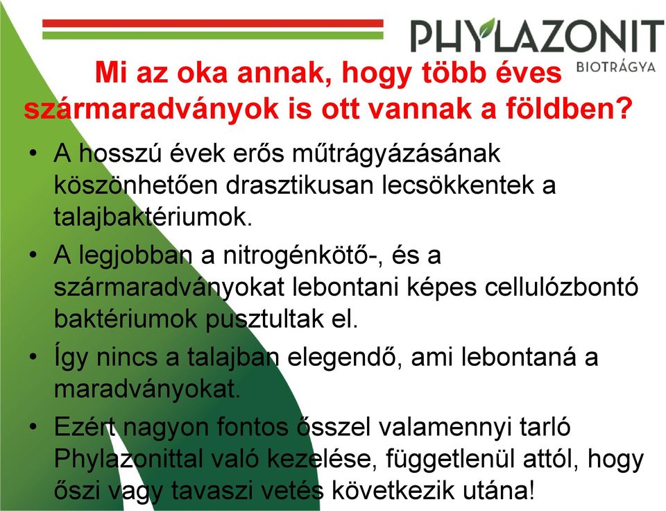 A legjobban a nitrogénkötő-, és a szármaradványokat lebontani képes cellulózbontó baktériumok pusztultak el.