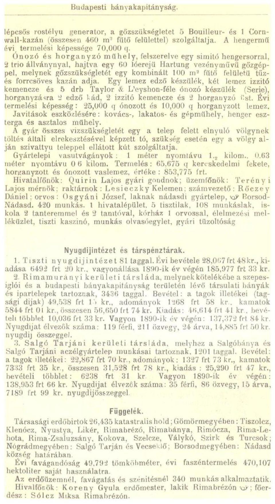 Ónozó és horgányzó műhely, felszerelve egy simitó hengersorral, 2 trio állványnyal, hajtva egy 60 lóerejű Härtung vezényművü gőzgéppel, melynek gőzszükségletét egy kombinált 100 m 2 fűtő felületű