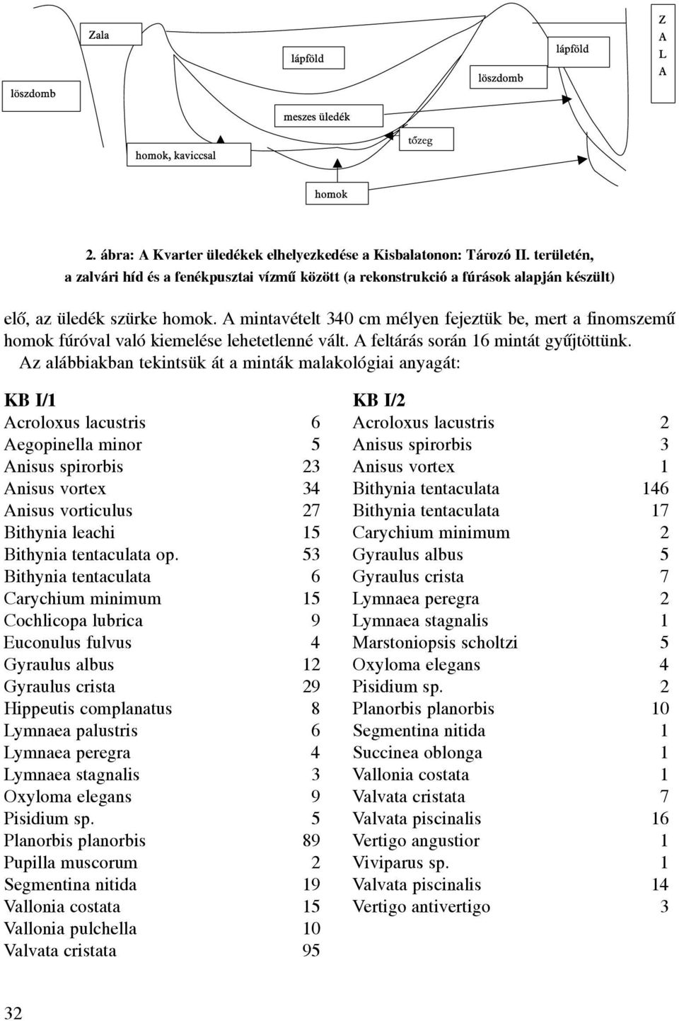 Az alábbiakban tekintsük át a minták malakológiai anyagát: KB I/1 Acroloxus lacustris 6 Aegopinella minor 5 Anisus spirorbis 23 Anisus vortex 34 Anisus vorticulus 27 Bithynia leachi 15 Bithynia