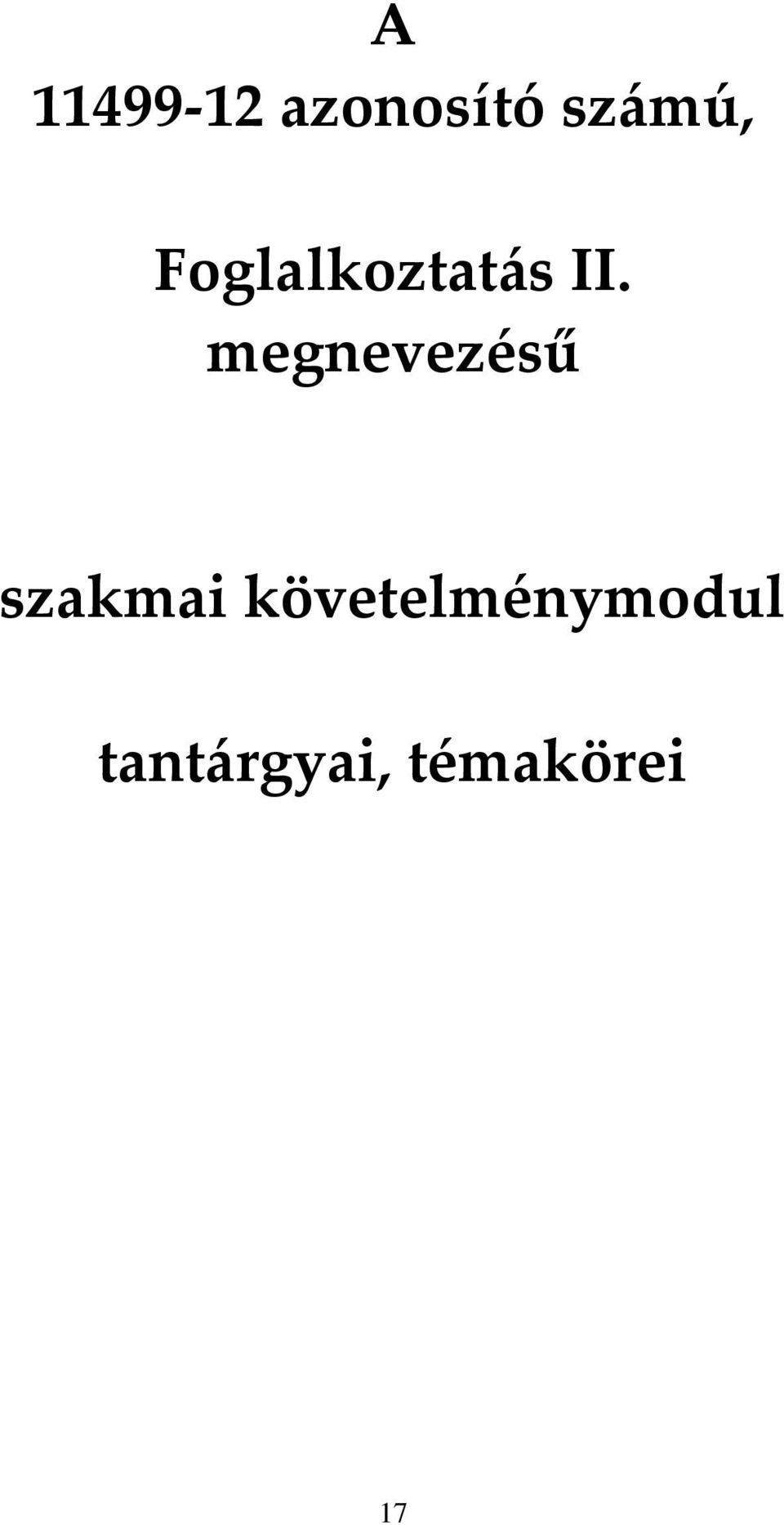 megnevezésű szakmai