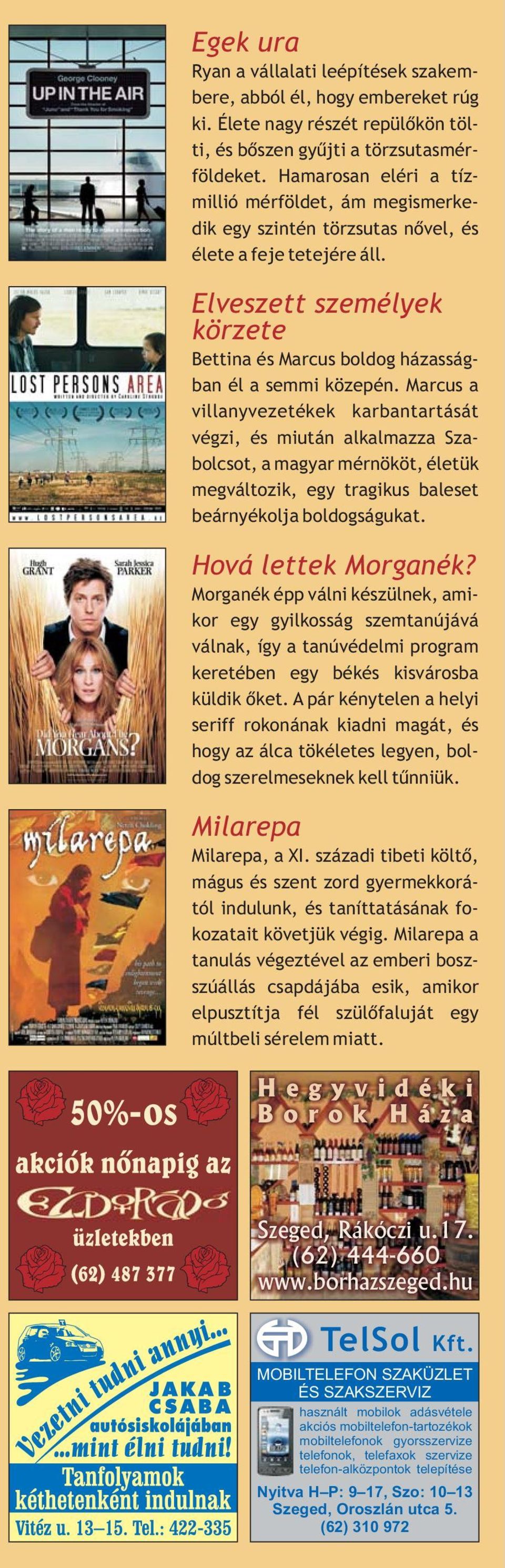 Marcus a villanyvezetékek karbantartását végzi, és miután alkalmazza Szabolcsot, a magyar mérnököt, életük megváltozik, egy tragikus baleset beárnyékolja boldogságukat. Hová lettek Morganék?