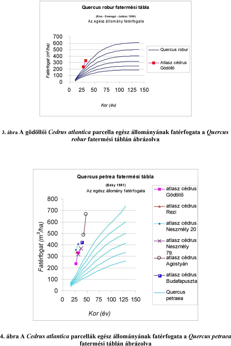 ábra A gödöllői Cedrus atlantica parcella egész állományának fatérfogata a Quercus robur fatermési táblán ábrázolva Quercus petrea fatermési