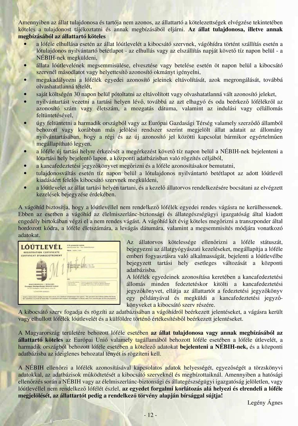 nyilvántartó betétlapot - az elhullás vagy az elszállítás napját követő tíz napon belül - a NÉBIH-nek megküldeni, állata lóútlevelének megsemmisülése, elvesztése vagy betelése esetén öt napon belül a