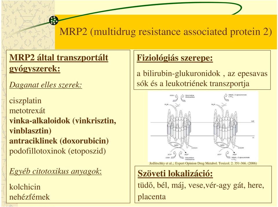 vinblasztin) antraciklinek (doxorubicin) podofillotoxinok (etoposzid) Egyéb citotoxikus anyagok: kolchicin nehézfémek Jedlitschky