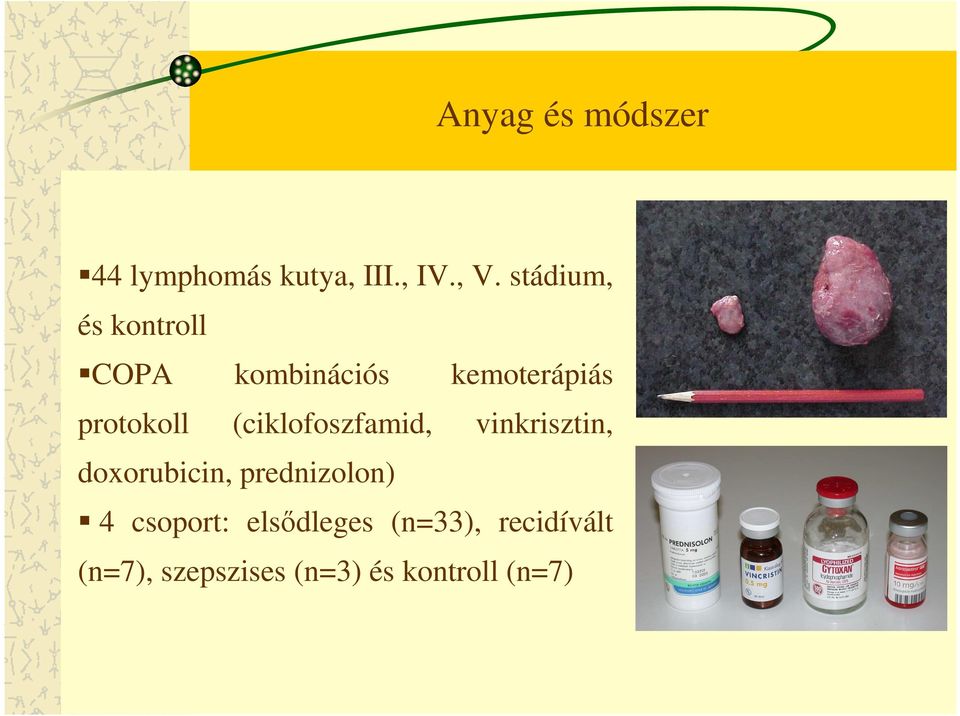 (ciklofoszfamid, vinkrisztin, doxorubicin, prednizolon) 4