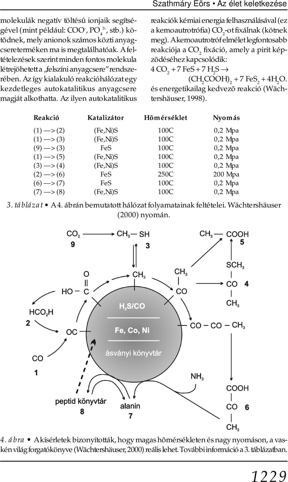 Az ilyen autokatalitikus reakciók kémiai energia felhasználásával (ez a kemoautrotrófia) CO 2 -ot fixálnak (kötnek meg).