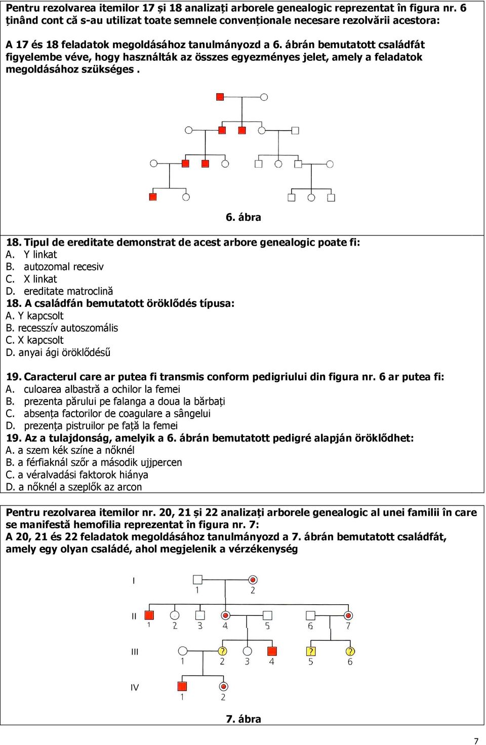 ábrán bemutatott családfát figyelembe véve, hogy használták az összes egyezményes jelet, amely a feladatok megoldásához szükséges. 6. ábra 18.